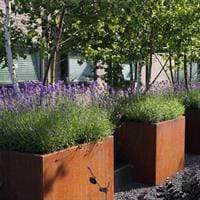 Aquigarden Jardinière en corten - Andes avec pieds 1m x 1m x 0,8m cap5.1