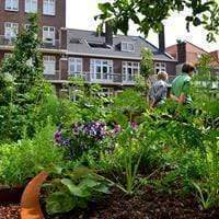 Aquigarden Jardinière en corten - Atlas 1m x 0.8m ct5.1