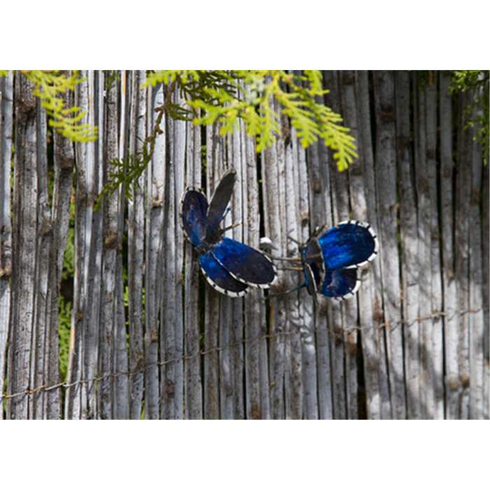 Arrosoir & Persi Décoration PAPILLON AZURÉ DU MIDI A FIXER AP19008