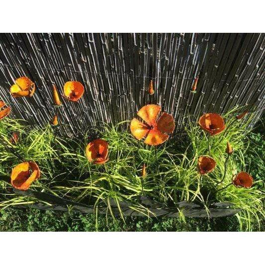 Arrosoir & Persil Pavot de Californie orange & capsule - Végétal décoratif en métal recyclé 18010