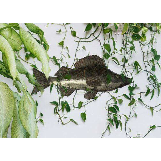Arrosoir & Persil Perche - Poisson décoratif en métal recyclé 26101