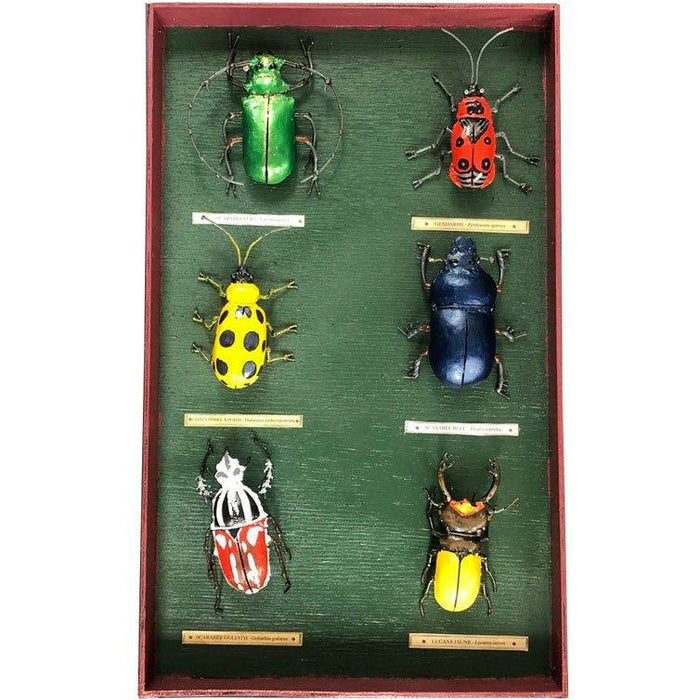 Arrosoir & Persil Tableau d’entomologiste Coléoptères - Insecte décoratif en métal recyclé 19062