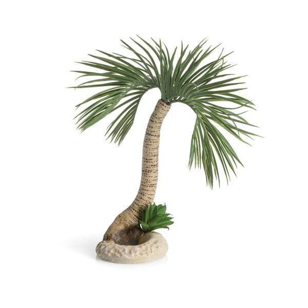 Biorb Accessoires pour aquariums biOrb palmier Seychelles L 822728726808 72680
