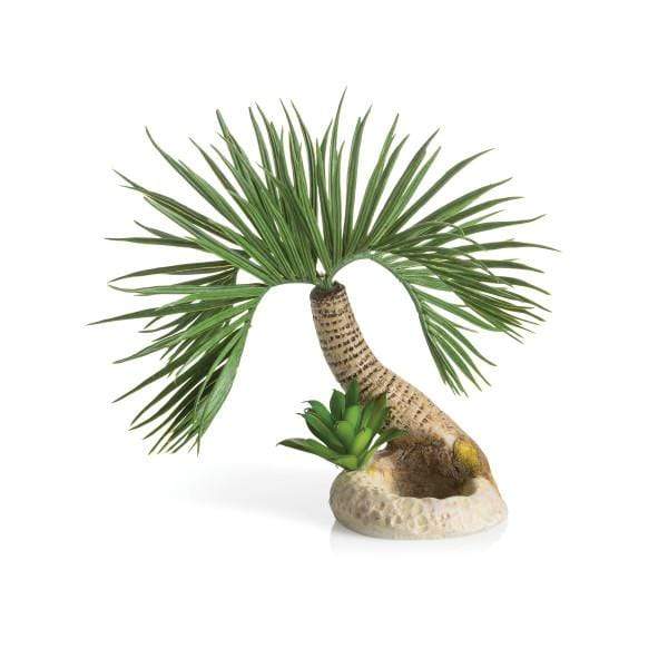Biorb Accessoires pour aquariums biOrb palmier Seychelles S 822728726792 72679