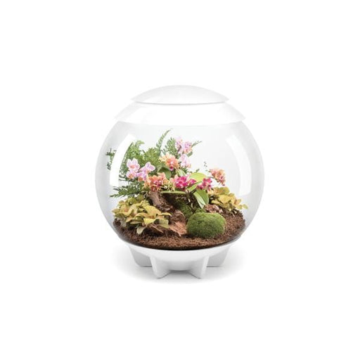 Biorb by Oase Aquarium biOrb AIR 60 blanc 822728005897 46147