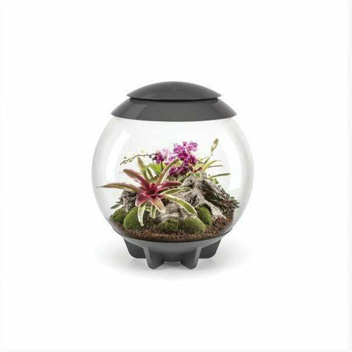 Biorb by Oase Aquarium biOrb AIR 60 Gris 822728006238 46148