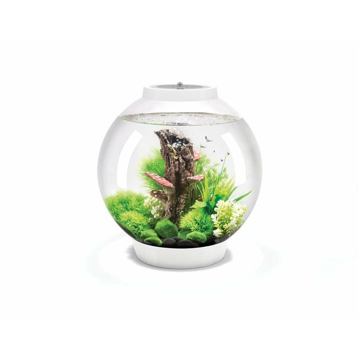 Biorb by Oase Aquarium biOrb CLASSIC 30 MCR blanc - 30 litres 72010