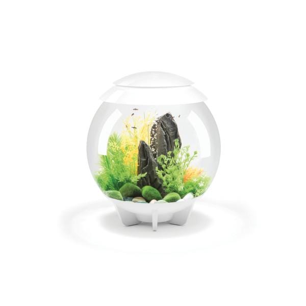 Biorb by Oase Aquarium biOrb HALO 30 LED Blanc - 30 litres 822728720400 72040