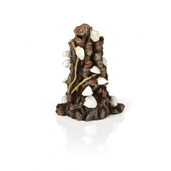 Biorb by Oase biOrb Coquillages blanc sur branche 822728007372 46146