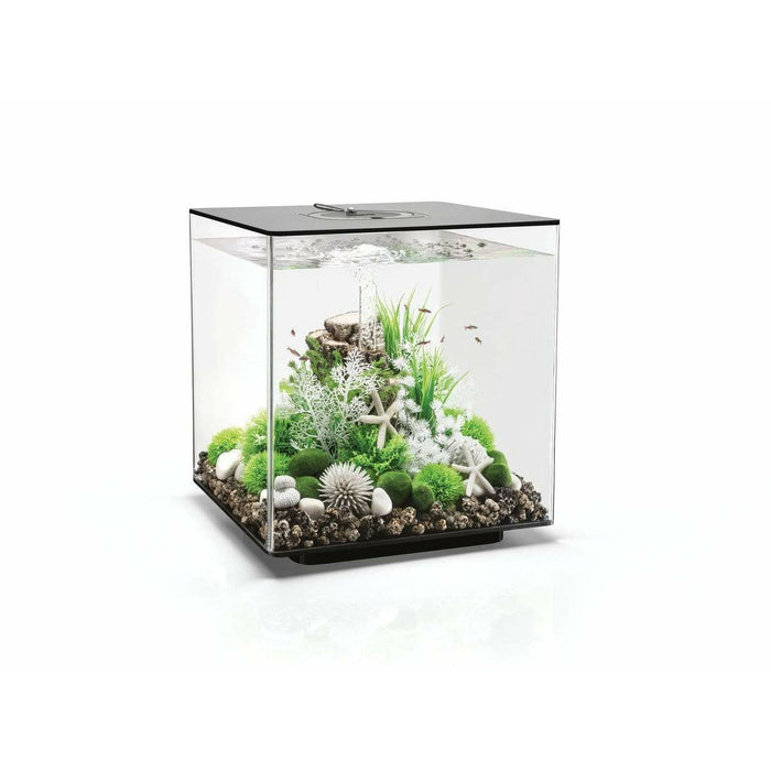 Biorb by Oase biOrb CUBE 60 MCR noir  - 60 litres 72026