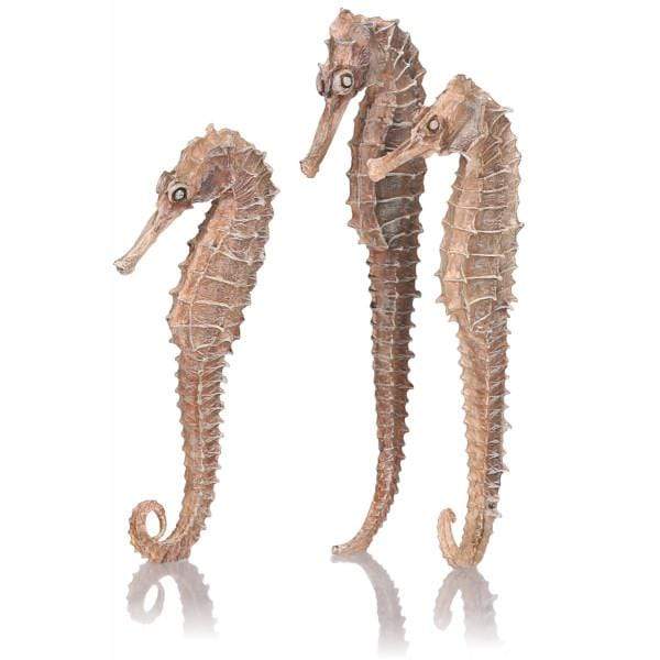 Biorb by OASE biOrb Hypocampe naturel par 3 822728550632 55063