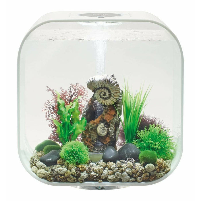 Biorb by Oase biOrb LIFE 30 MCR blanc - 30 litres 72055