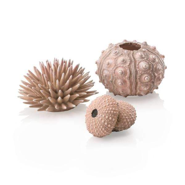 Biorb by Oase biOrb Set d'oursins naturels 822728010426 48366