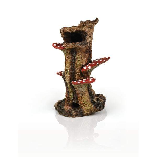 Biorb by Oase Décorations pour aquariums biOrb Tronc champignons Décor 822728007242 46140