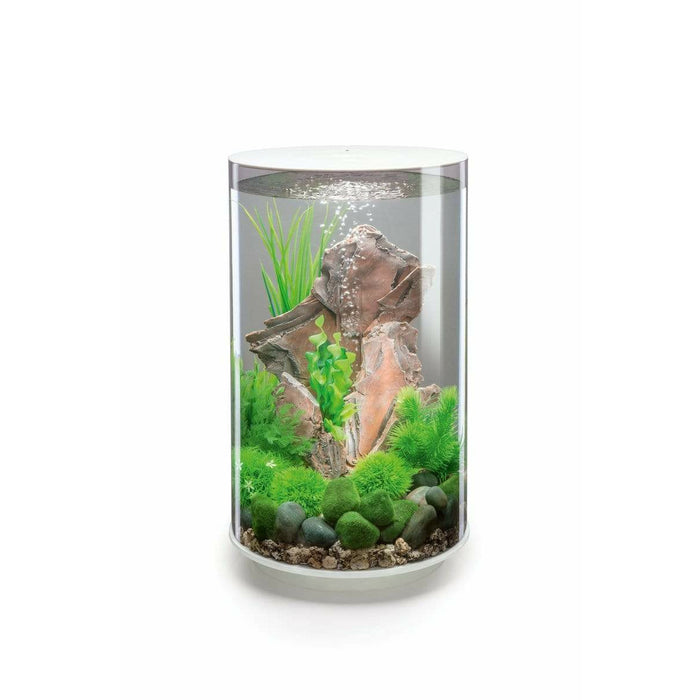 Biorb by Oase biOrb TUBE 30 LED Blanc  - 30 litres 72067