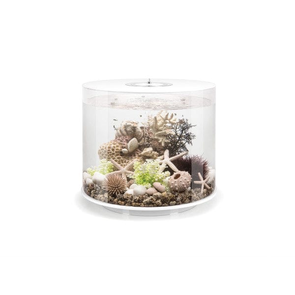 Biorb by Oase Blanc Aquarium biOrb TUBE 35 LED - 35 litres 822728720714 72071