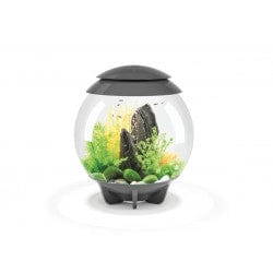Biorb by Oase Gris Aquarium biOrb HALO 30 MCR - 30 litres 72041