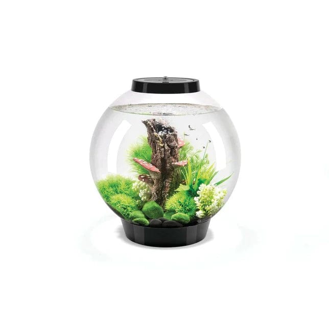 Biorb by Oase Noir Aquarium biOrb CLASSIC 30 MCR - 30 litres