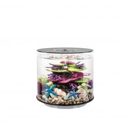 Biorb by Oase Noir Aquarium biOrb TUBE 15 MCR - 15 litres 72064