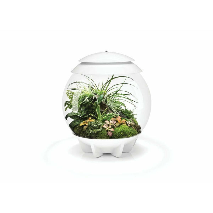 Biorb by Oase Terrarium biOrb AIR 30 Blanc - 30L 71748