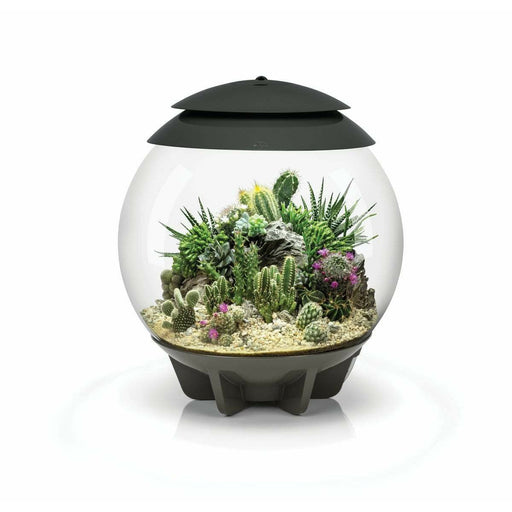Biorb by Oase Terrarium biOrb AIR 30 Gris - 30L 71749