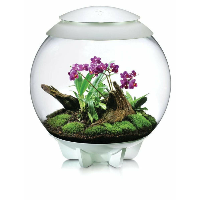 Biorb by Oase Terrarium biOrb AIR 60 blanc - 60L 822728005897 46147
