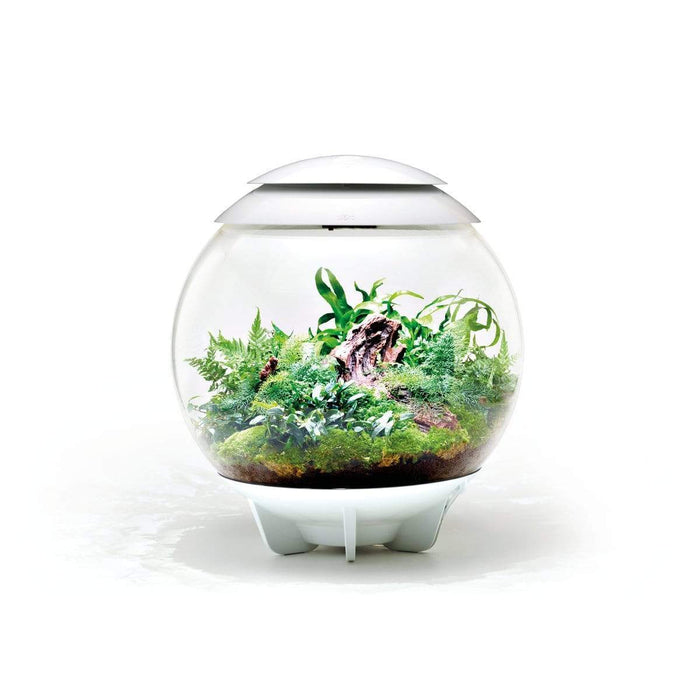 Biorb by Oase Terrarium biOrb AIR 60 blanc - 60L 822728005897 46147