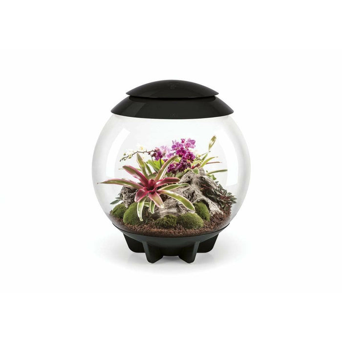 Biorb by Oase Terrarium biOrb AIR 60 Noir - 60L 72557