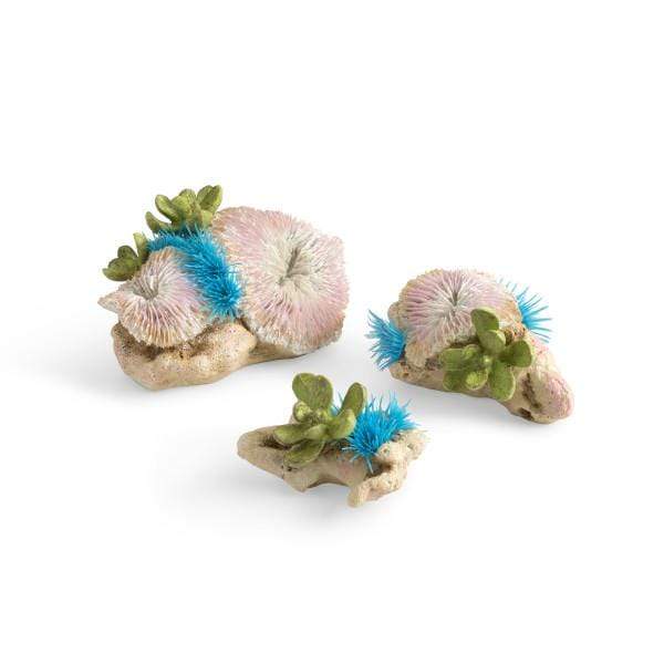 Biorb Accessoires pour aquariums Kit Corail biOrb Fongia & polype bouton 822728726785 72678
