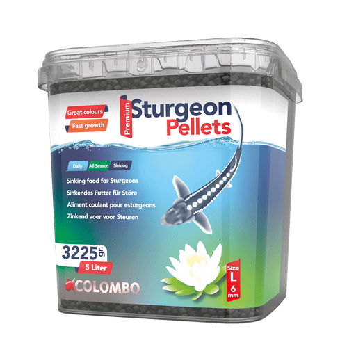 Colombo Nourriture pour poissons Colombo Esturgeon Food 10L - Large 6MM 8715897316623 03050770
