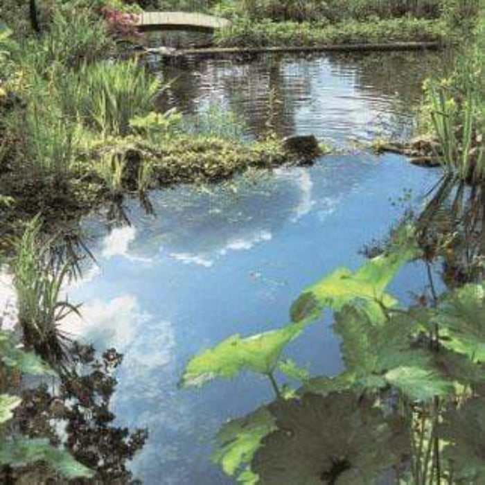 FOUDEBASSIN.COM UBBINK OCEAN I - bassin préformé - HDPE, surface 3,83 m², profondeur max 70 cm, volume d'eau 1500 l - H70 x 230 x 200 cm 8711465110389 1311038