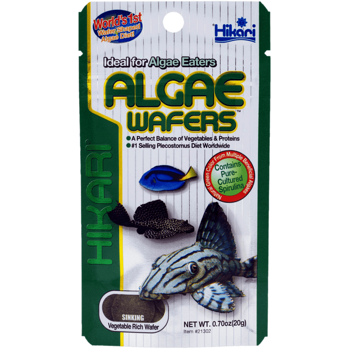 Hikari Nourriture Hikari Algae Wafers - 20g - Nourriture pour poissons tropicaux