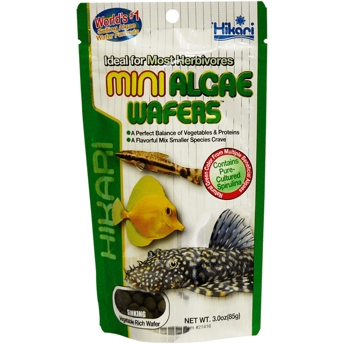 Hikari Nourriture Hikari Mini Algae Wafers - 85g - Nourriture pour poissons tropicaux 0042055214162 A3020415