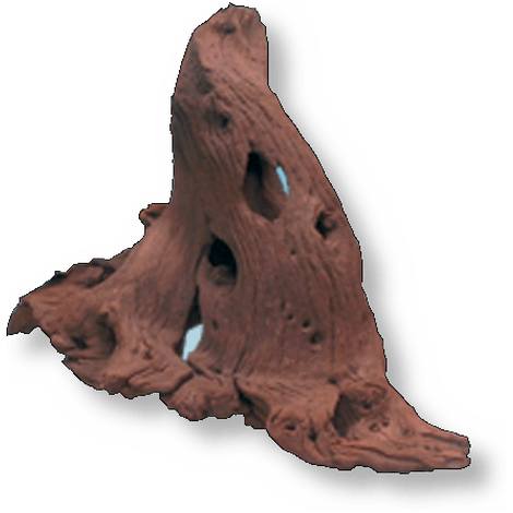 JBL Without Descri JBL Racine Mangrove "M" 4014162670328 6703200