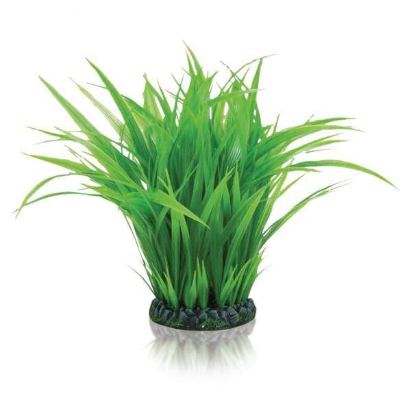 Oase Living Water biOrb Anneau d'herbe L verte 822728003084 46105