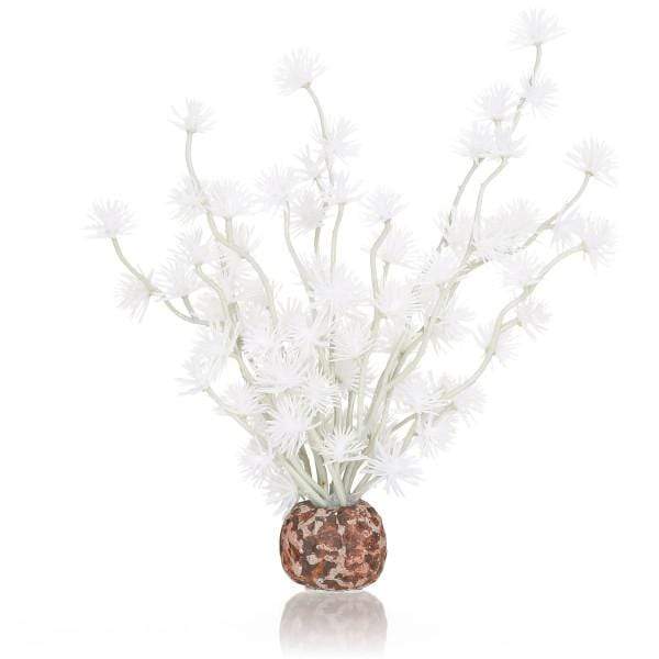 Oase Living Water biOrb Boule Bonsai blanche 822728550687 55068