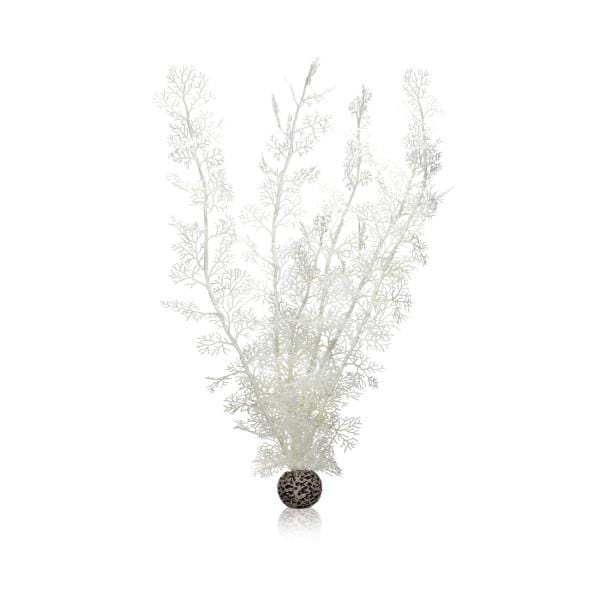 Oase Living Water biOrb Corail XL blanc 822728005361 46074