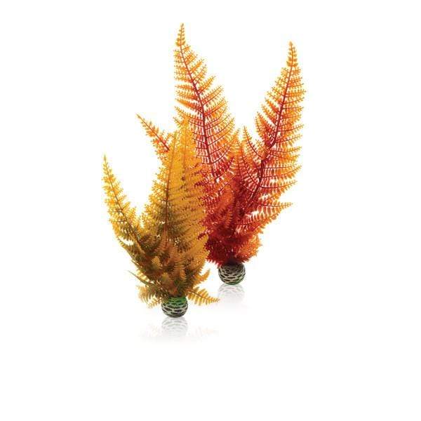 Oase Living Water biOrb Set de plantes couleurs d'automne 822728003053 Destockage46065