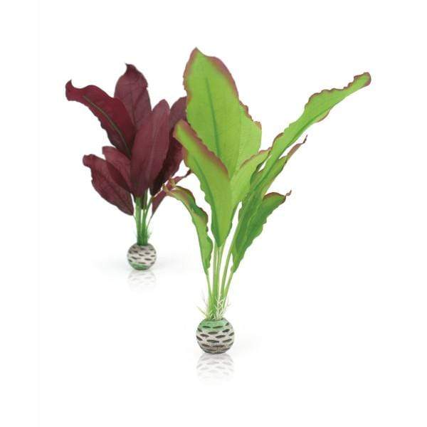 Oase Living Water biOrb Set plantes M vertes & violettes 822728005057 46101