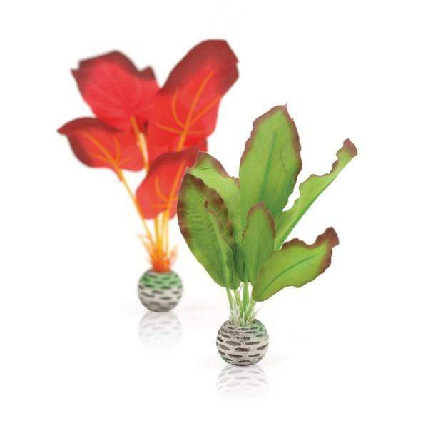 Oase Living Water biOrb Set plantes S vertes & rouges 822728005033 46099
