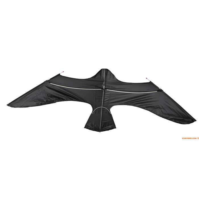 Scarybird Matériel technique SCARYBIRD CERF-VOLANT SEUL KITES ALONE 641243897462 641243897462