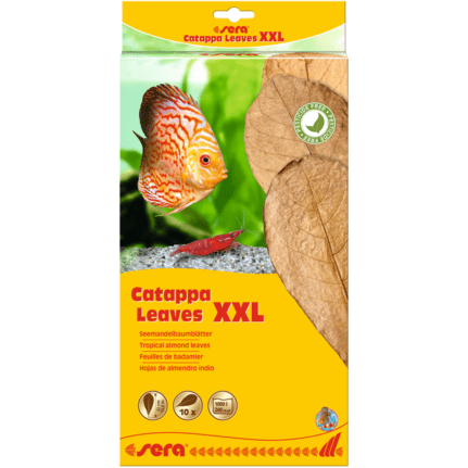 Sera Sera Catappa Leaves - Feuilles de badamier 4001942452458 32275