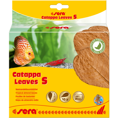 Sera Sera Catappa Leaves S - Feuilles de badamier 4001942452434 32273