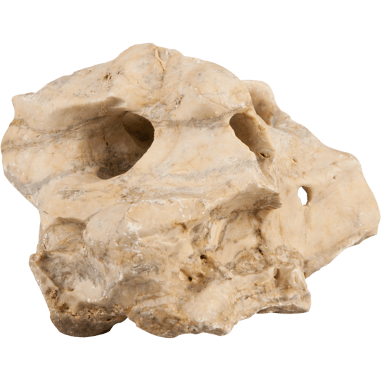 Sera Aquariophilie sera Rock Hole Stone S/M 32345