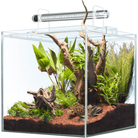 Sera Sera Scaper Cube 64 L - Aquarium Sera - 64L 4001942523578 32367