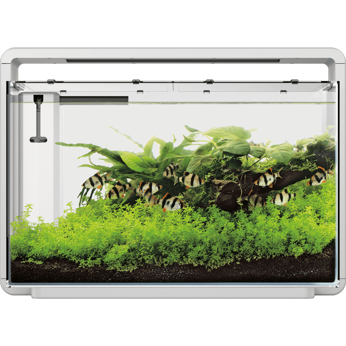 Superfish Aquariums Aquarium Home 65 Blanc - 60L - Superfish 8715897314315 A4051580