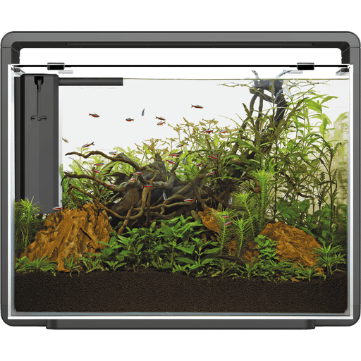 Superfish Aquariums Aquarium Home 85 Noir - 80L - Superfish 8715897314360 A4051595