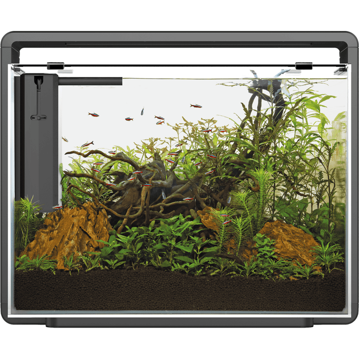Superfish Aquariums Aquarium Home 85 Noir - 80L - Superfish 8715897314360 A4051595