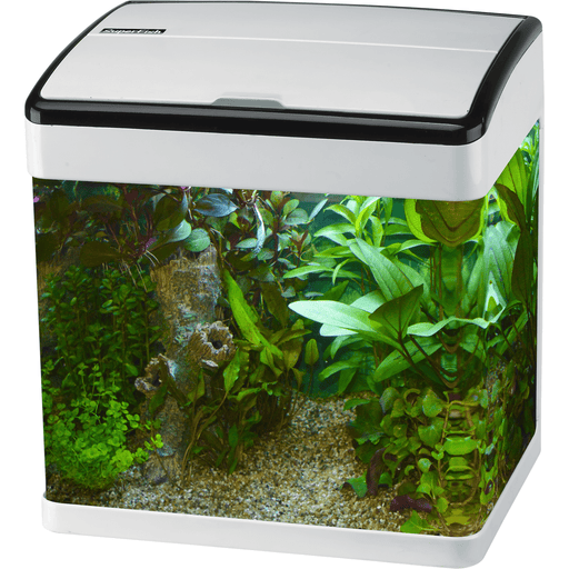 Superfish Aquariums Aquarium Panorama 50 Led Blanc - 50L - Superfish 8715897271120 A4052015