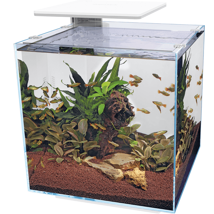 Superfish Aquariums Aquarium QubiQ 60 PRO Blanc - 60L - Superfish 8715897312939 A4050900